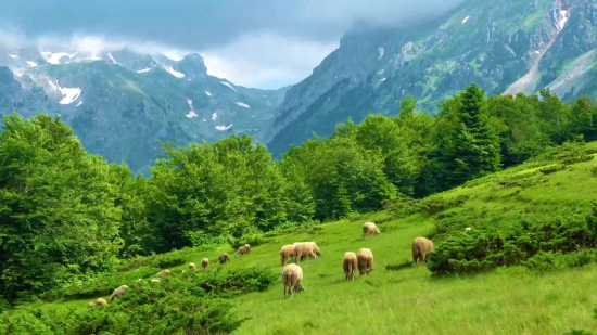 Boxing Stock Video, Highland, Mountain, Mountains, Landscape, Sky