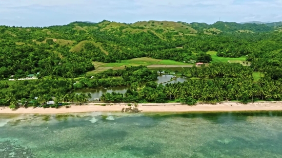 Business People Stock Video, Landscape, Water, Tree, Summer, Sea