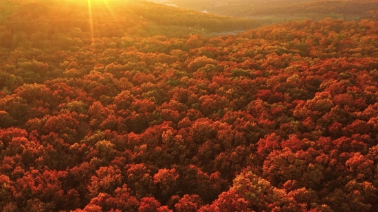 Chess Stock Footage, Canyon, Valley, Ravine, Landscape, Desert