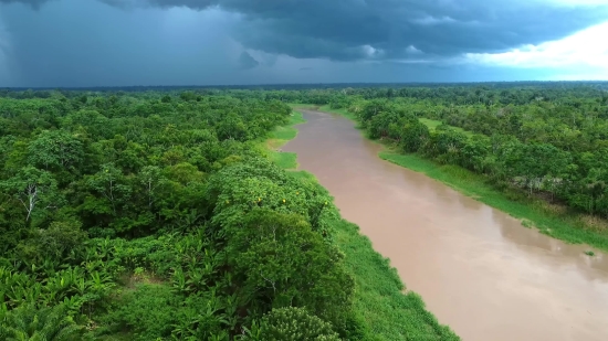 Copyright Free Intro For Youtube, Landscape, Tree, Sky, Water, Forest