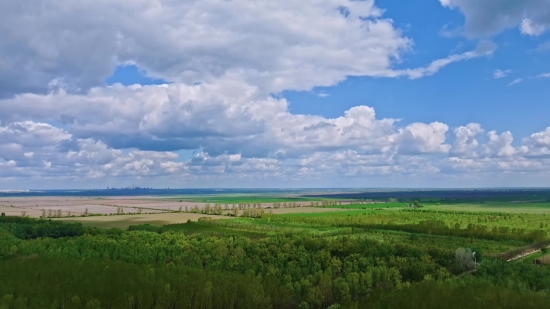 Copyright Video Download, Sky, Field, Grass, Meadow, Landscape