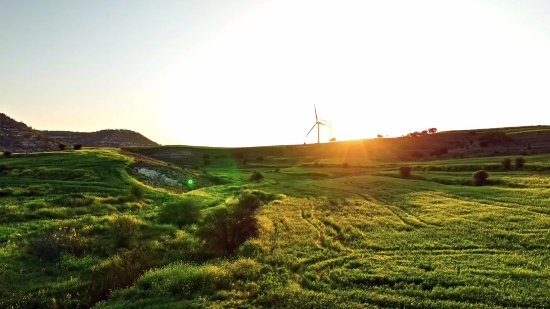 Creepy Stock Video, Highland, Landscape, Rural, Field, Meadow