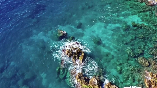 Download A Clip From Youtube Video, Coral Reef, Reef, Underwater, Sea, Ocean