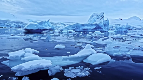 Download Short Video Free, Iceberg, Ice, Cold, Snow, Glacier