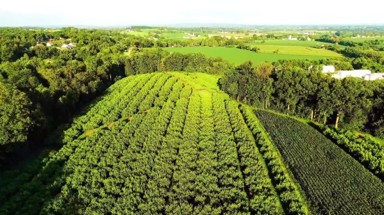 Free Computer Background, Field, Rural, Farm, Agriculture, Landscape