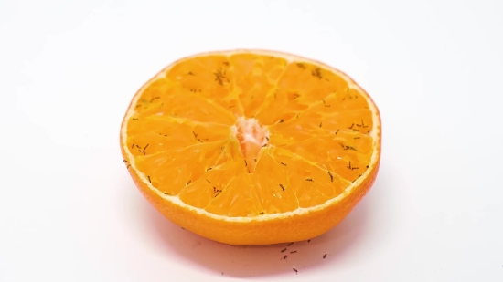 Free Download Video Shutterstock, Citrus, Fruit, Orange, Vitamin, Juicy