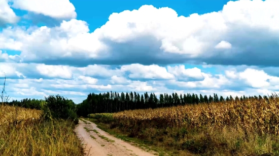 Free Easy Worship Background Loops, Sky, Landscape, Atmosphere, Rural, Field