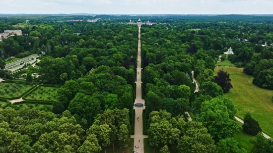 Free Medical Stock Footage, Column, Structure, Pole, Totem Pole, Sky