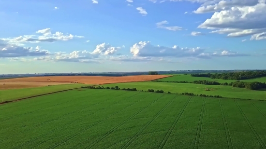 Free Photos And Videos No Copyright, Plain, Field, Grass, Landscape, Rural