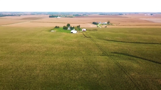 Green Screen Video Backgrounds Free, Steppe, Plain, Land, Grass, Field