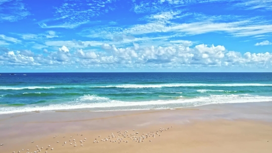 Grocery Store Stock Footage Free, Beach, Ocean, Sea, Sand, Vacation