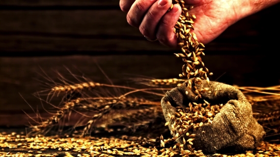 High Quality Stock Footage, Farmer, Brown, Chain, Drink, Coffee