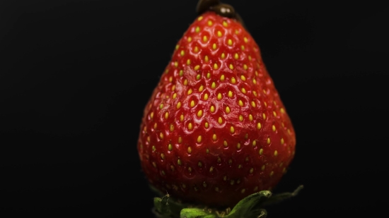 Long Nature Videos No Copyright, Berry, Strawberry, Fruit, Edible Fruit, Produce