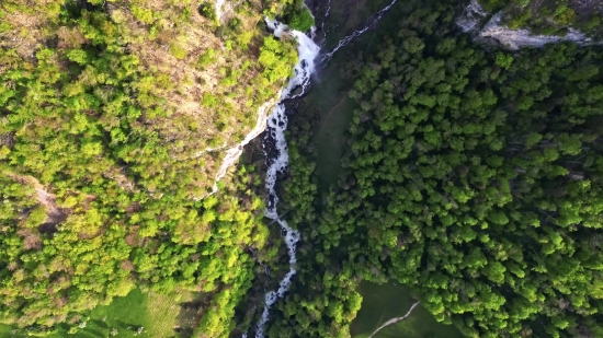 Medical Stock Videos, Tree, River, Rock, Stone, Landscape