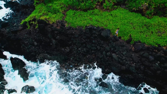 Moving Video Backgrounds, River, Stream, Water, Waterfall, Landscape