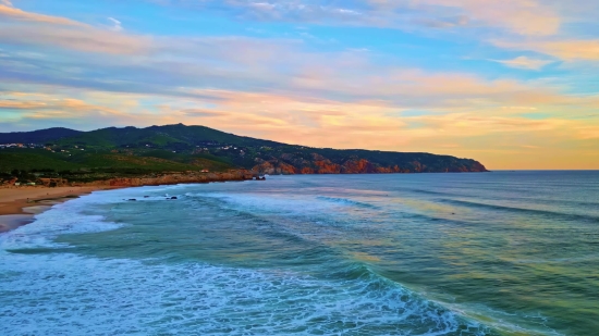 Owl Stock Footage, Beach, Ocean, Sea, Coast, Water