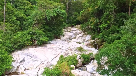 Royalty Free Video Free Download, Forest, Tree, River, Rock, Mountain