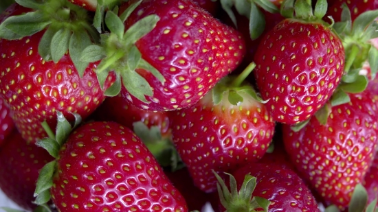 Royalty Free Videos Youtube, Strawberry, Berry, Fruit, Edible Fruit, Strawberries