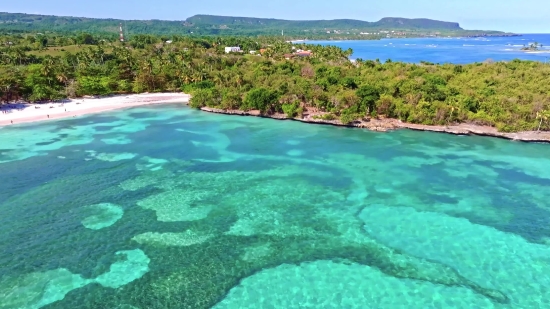 Royalty Pictures, Beach, Coral Reef, Sea, Reef, Ocean