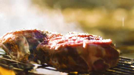 Royalty Stock Footage, Food, Meat, Friedcake, Meal, Grilled