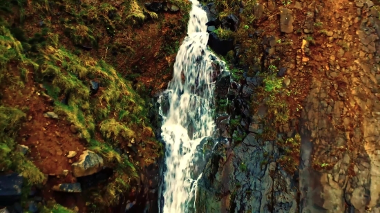 Sea Waves Video Download, Tree, Woody Plant, Waterfall, Forest, River