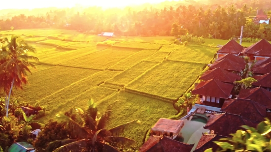 Sky Bijli Effect Video Download, Sunset, Sky, Landscape, Sun, Desert