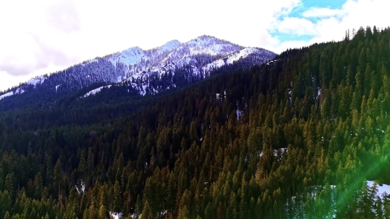 Sky Video Clip Download, Tree, Mountain, Willow, Woody Plant, Landscape