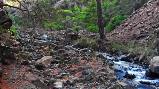 Smoking Stock Video, Rubbish, River, Landscape, Water, Forest