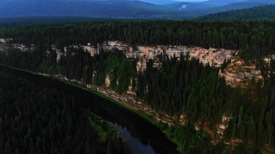 Stock Footage Free Pexels, Landscape, Reed, Mountain, Range, Forest