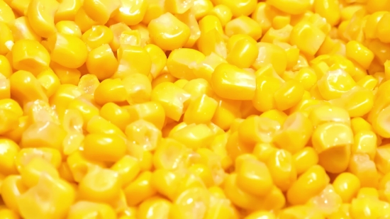 Sunset Video Clip Download, Corn, Kernel, Grain, Pasta, Seed