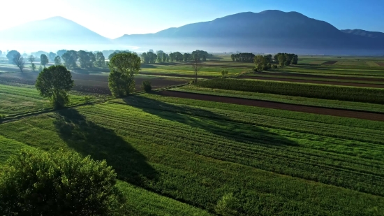 Top Stock Footage Sites, Field, Landscape, Agriculture, Grass, Rural