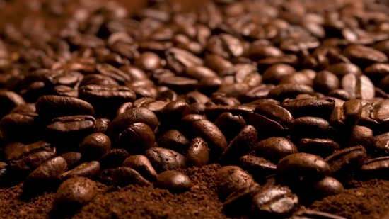 Video Pexels Free, Coffee, Tree, Woody Plant, Cacao, Caffeine