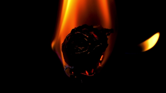 Video Wallpaper Hd Download For Android Mobile, Fire, Light, Flame, Heat, Matchstick