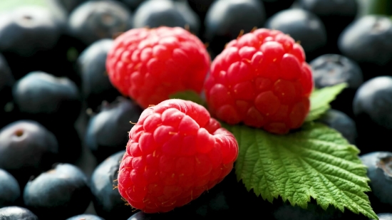 Water Background Video Effects Hd, Raspberry, Berry, Edible Fruit, Fruit, Drupe