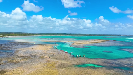 Zoom Background Video Download, Beach, Sea, Sand, Ocean, Coast